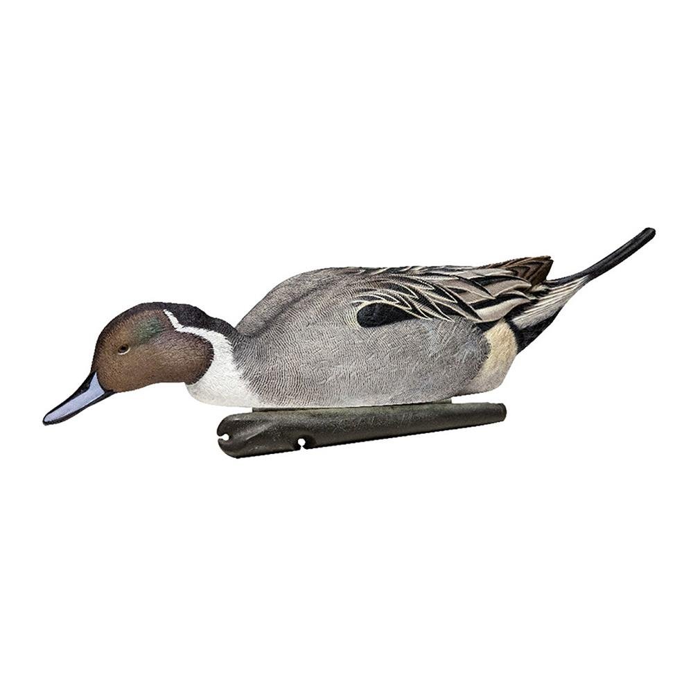 AvianX AVX8082 Top Flight Pintail Duck Decoys 6-Pack, Realistic Design - Avian-X