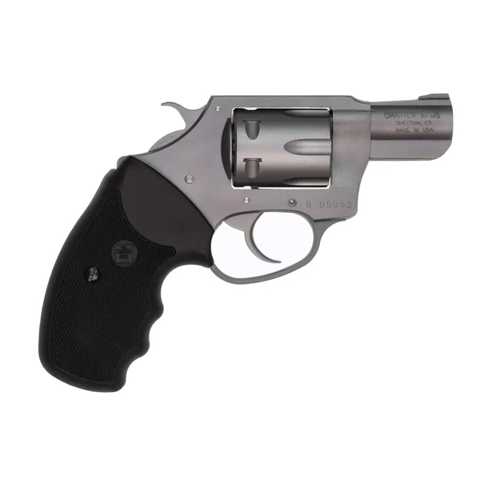 Charter Arms Pathfinder 22 Long Rifle - CHARTER ARMS - 22 Long Rifle