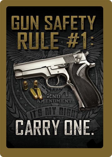 Buy Rivers EDGE SIGN 12"x17" "GUN SAFETY" online