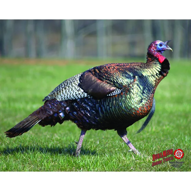 DuraMesh DM217 Archery Target Turkey 25"x32" Durable Weatherproof - DuraMesh