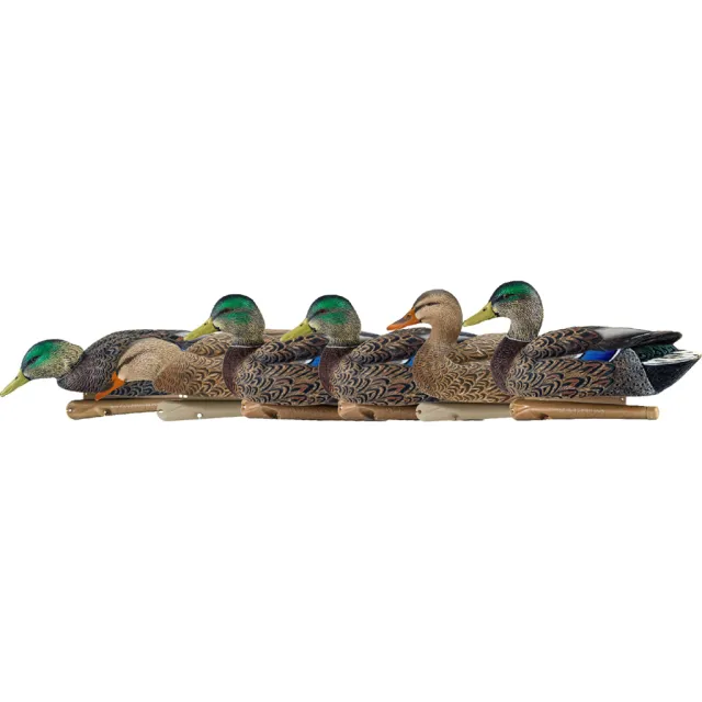 AvianX AVX8062 Top Flight Duck Decoys Early Season Mallards 6-Pack - Avian-X