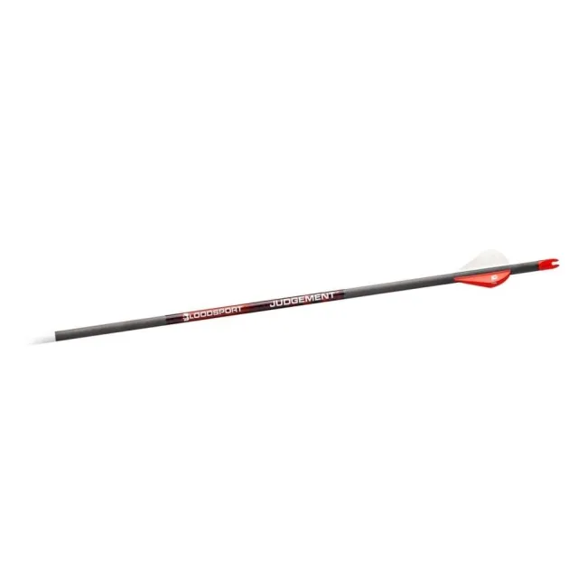 BloodSport Judgement Arrows 300 6 pk. - GSM Outdoors