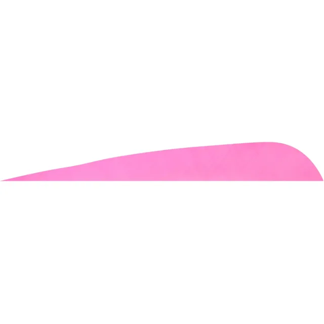 Gateway Parabolic Feathers Pink 4 in. RW 12 pk. - Gateway
