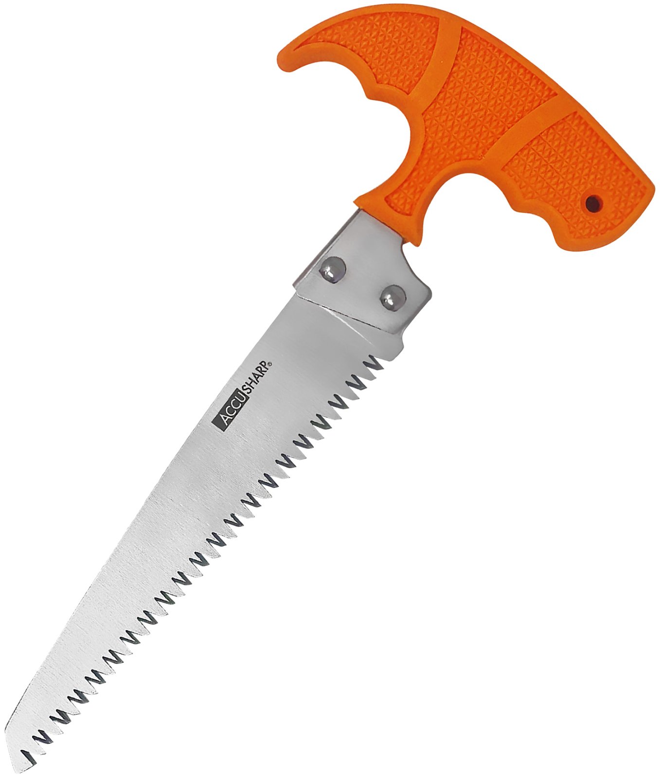 AccuSharp 730C Bone Saw Fixed 6" Stainless Steel Blade/ Blaze Orange... - FPI