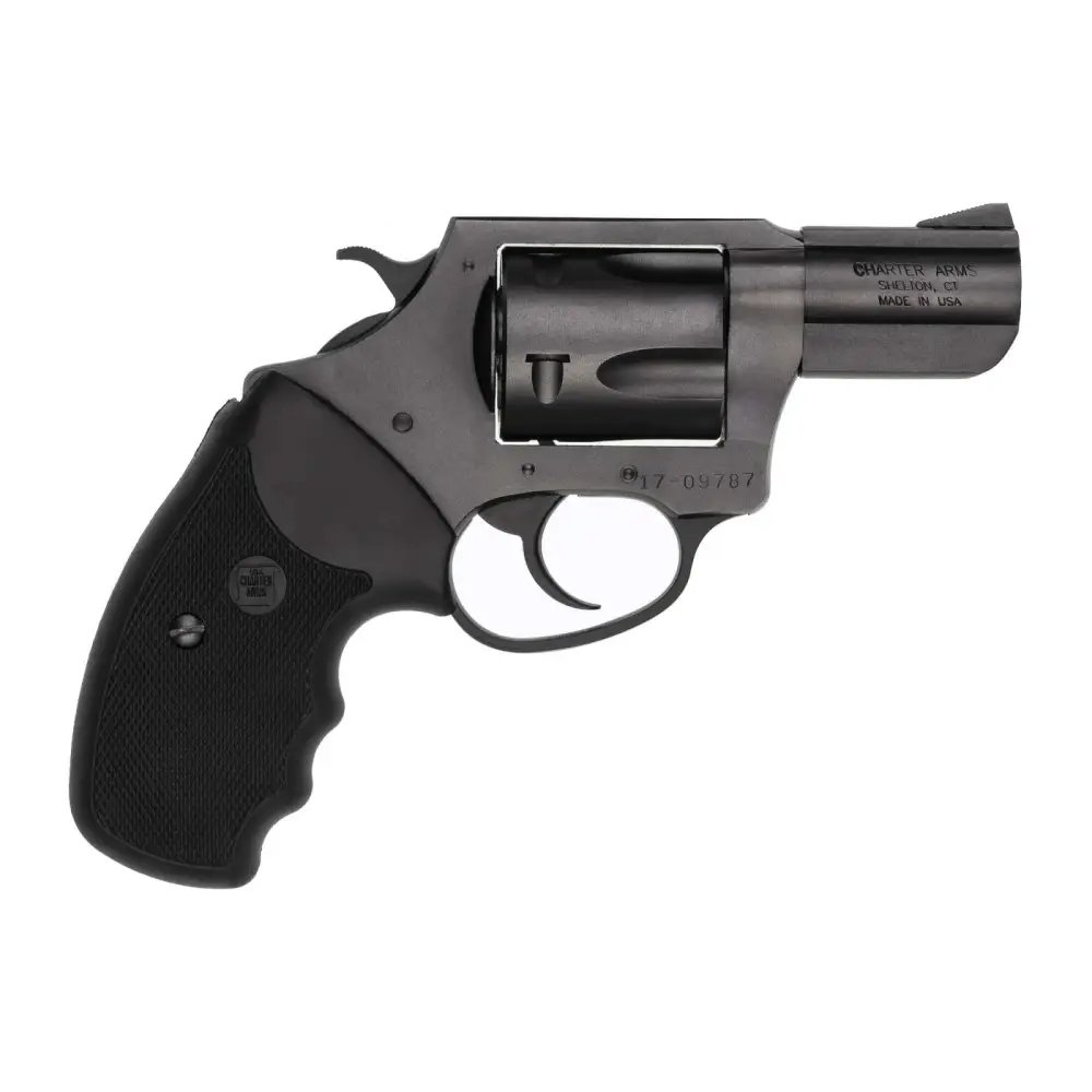 CHARTER ARMS 13520 357 Magnum/38 Special 2.20 In 5 Shot - CHARTER ARMS - 357 Magnum | 38 Special