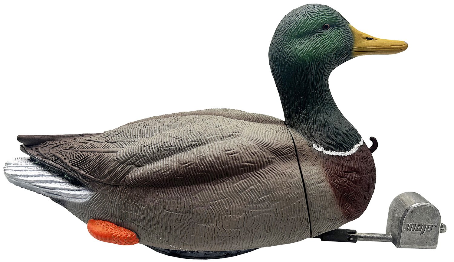 Buy Mojo Outdoors Dabbler Duck Mallard Drake Species HW2554 online