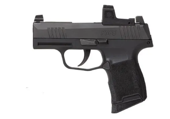 Sig P365 Micro-Compact .380ACP Pistol with ROMEOZero Elite Sights