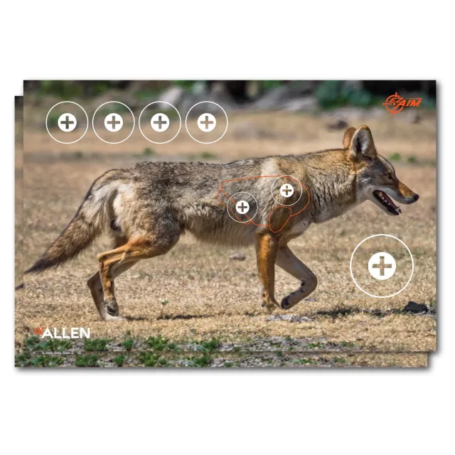 Allen EZ Aim Paper Four Color Coyote Target 23"x35" 2 Pack - Allen Company