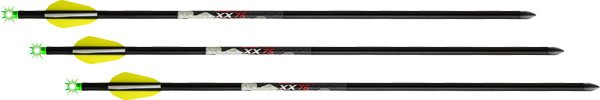 TenPoint HEA0683 Wicked Ridge Lighted Alpha Brite Arrows 20" 3-Pack - TenPoint
