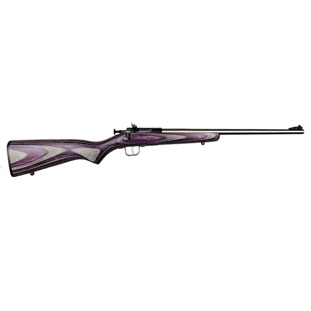 Keystone Sporting Arms Crickett 22 LR KSA2228 - Keystone Sporting Arms - 22 LR