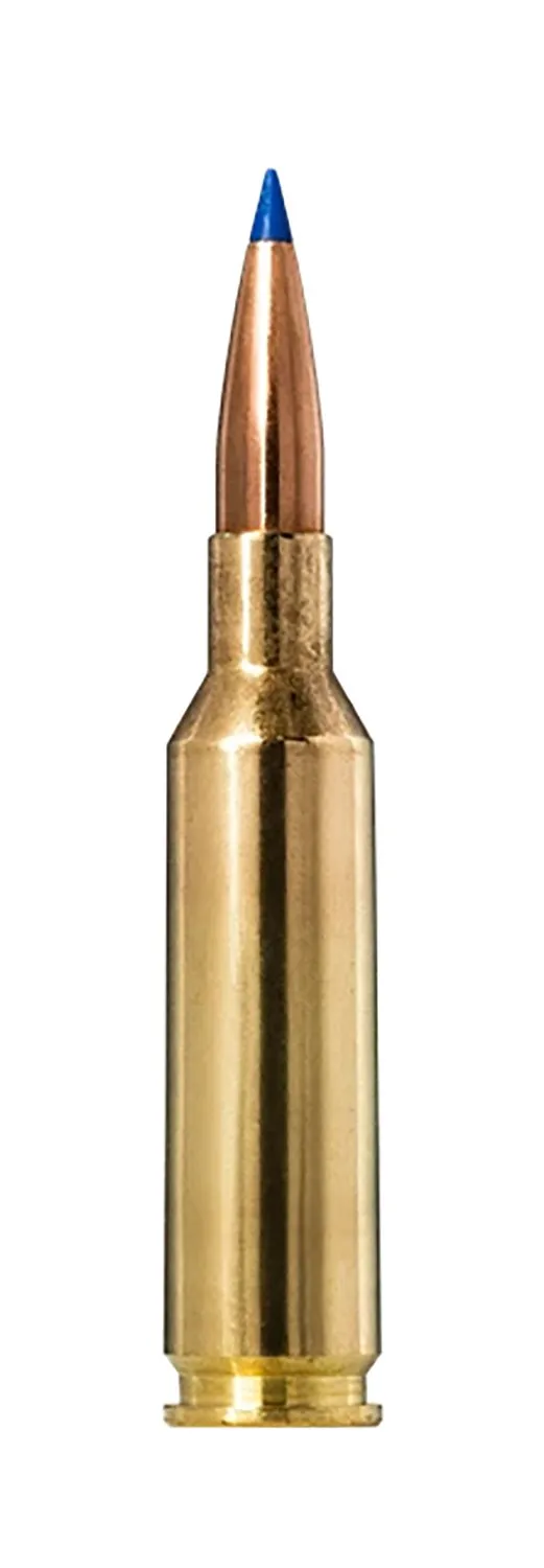 Norma Ammunition 20160492 Bondstrike 6mm 105gr 20 Per Box/10 Case - Norma - 6mm