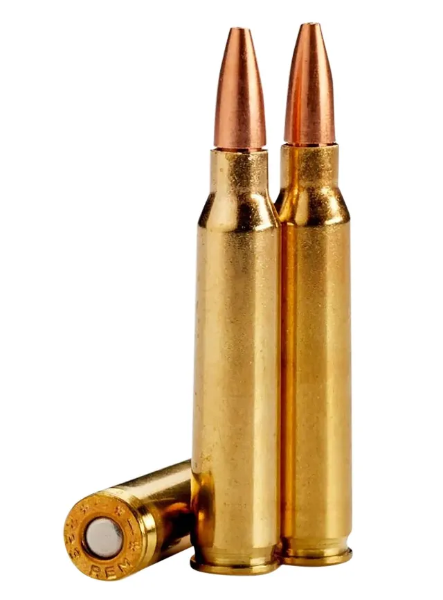 Buy Lehigh Defense COMBAT .223 Rem 55gr 20/Box LA223-55-CC online