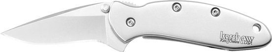 Kershaw 1600 Chive 1.9" Drop Point Pocketknife Silver Steel Blade - Kershaw