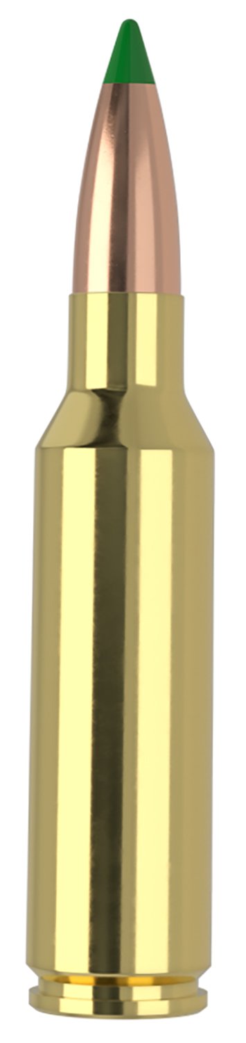 Buy Nosler 61035 300WSM 165gr Ballistic Tip Ammo 20/Box 3125fps online