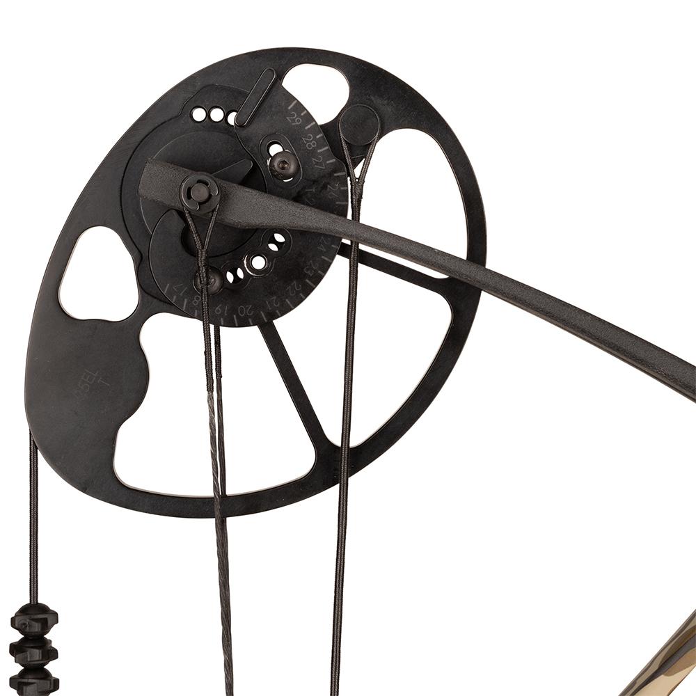 Buy Diamond Radian Bow Package Bottomland 10-55 lbs. RH online