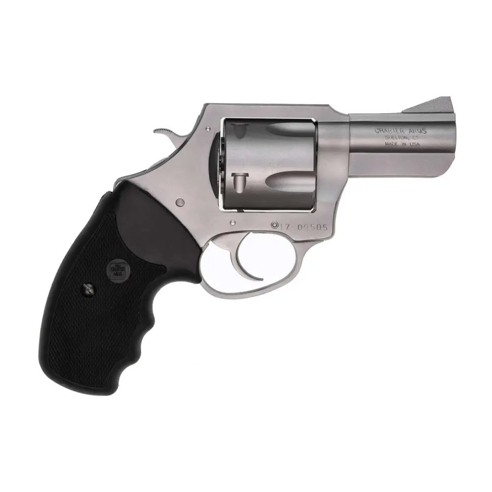 Charter Arms 74520 Pitbull 45 ACP 5rd 2.50" Matte Stainless Steel... - CHARTER ARMS - 45 ACP