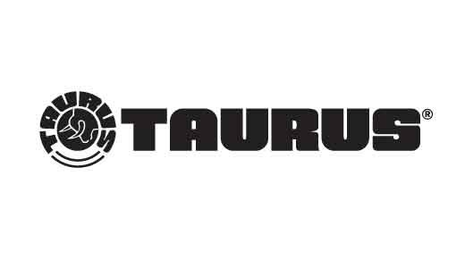 Buy Taurus GX2 TORO Pistol 9mm 3.38 in. Cyan/Stainless 13 rd. online