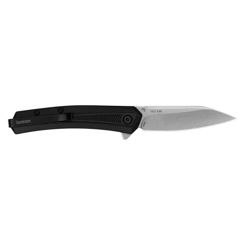 Buy Kershaw KER RAYGUN BLK 2.8 RVRS TANTO online