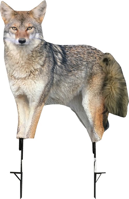 Buy Montana Decoy 0079 Song Dog Coyote Decoy, High Detail, 23"x31" online