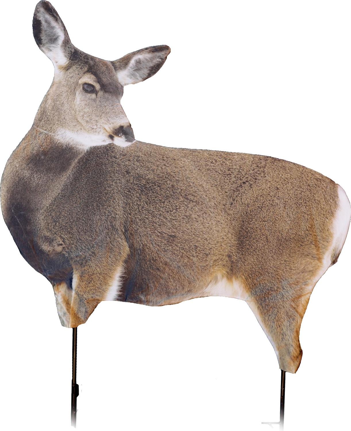 Buy Montana Decoy Miss Muley 65 Mule Deer Decoy 40x38 In 1 lb 14 oz online