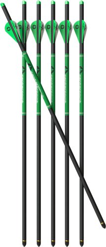 CENTERPOINT CP400 Select Carbon Arrows 6-Pack (AXCCA20TPK) - Center Point