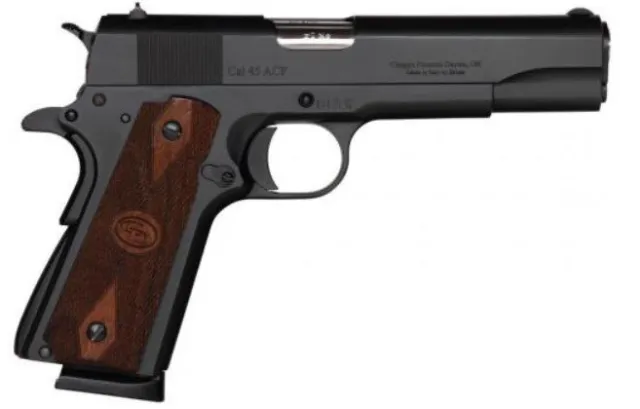 Buy Charles Daly 440169 1911 9mm 10+1 5" Stainless Barrel Black Slide online