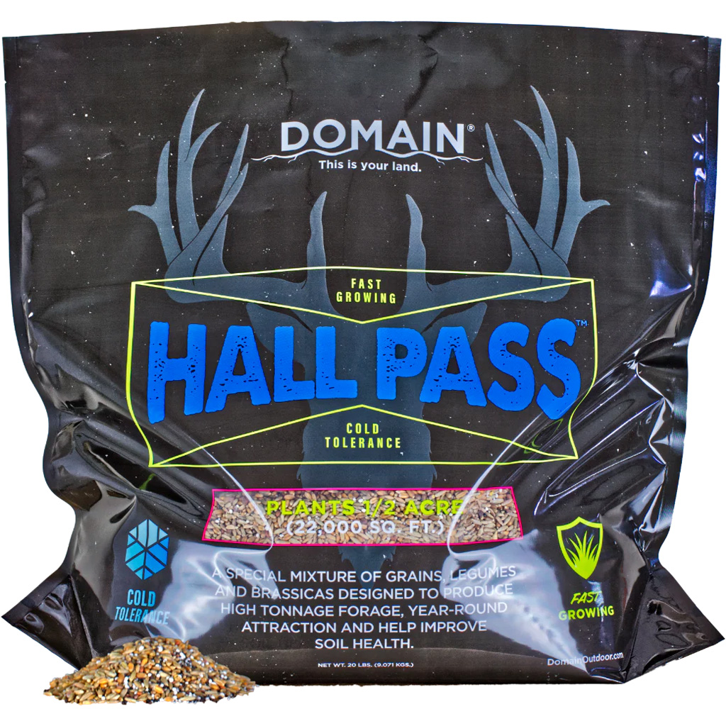 Buy Domain HALL PASS HPFP20 online