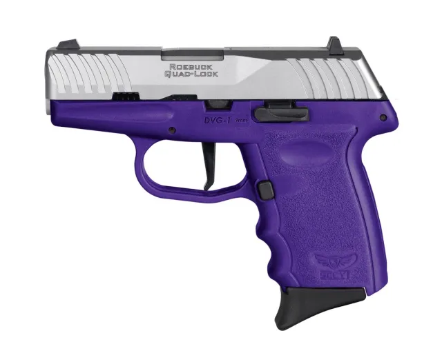SCCY Roebuck Quad-Lock 9mm Pistol 10+1 3.1 Satin Stainless Steel - SCCY - 9MM for sale at Bang-Bang Tactical