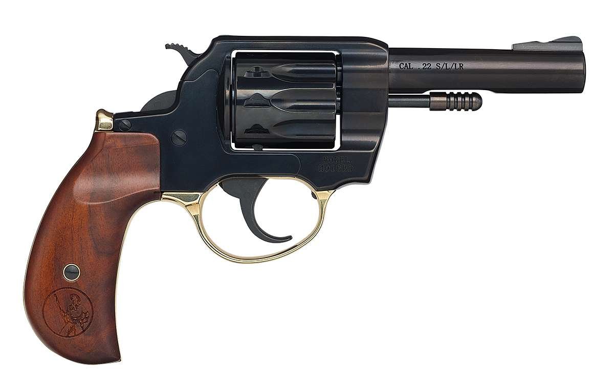 Buy Henry Repeating Arms Golden Boy 22 LR H016BD online