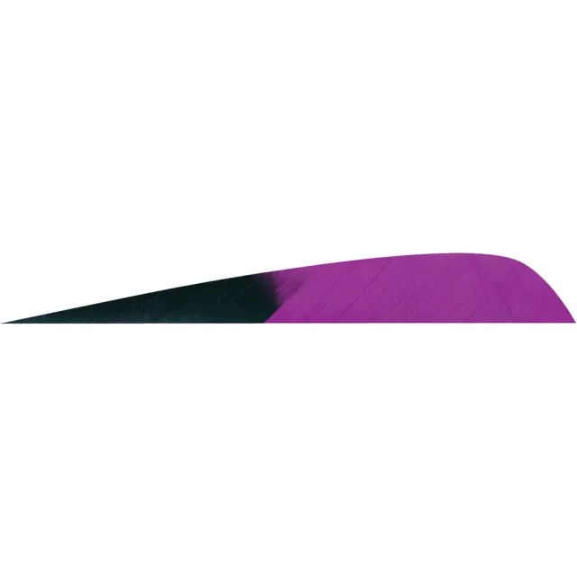 Buy Gateway Parabolic Feathers Kuro Purple 4 In LW 50 Pack 400LPKPP-50 online