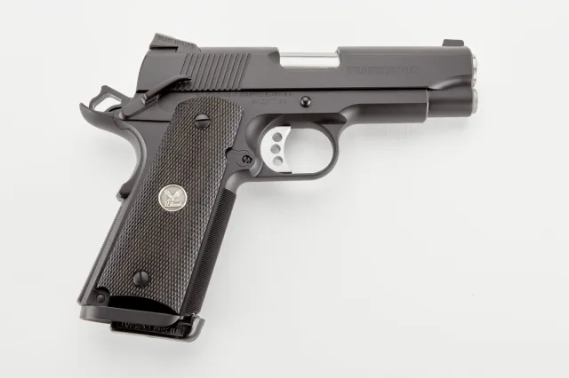Wilson COMBAT CA Professional 45 ACP 4in 2x 8rd Pistol WPM-A-ASCAALL-BLK - Wilson Combat - 45 ACP for sale at Bang-Bang Tactical