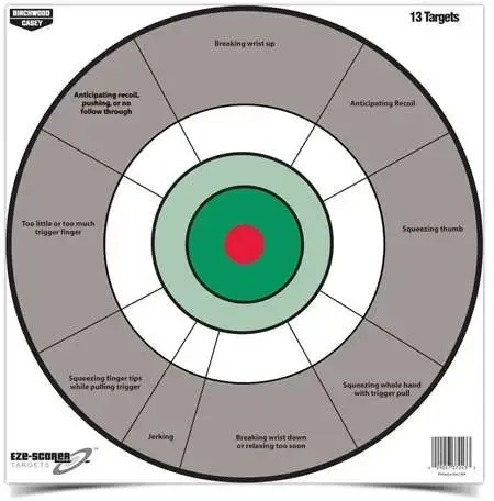 Birchwood Casey EZE-Scorer 12" Handgun Trainer Target 13/pack 37245 - Birchwood Casey