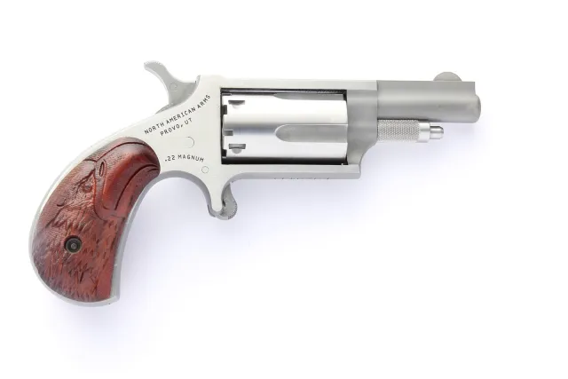 Buy NAA NAA-22MC-BWGE Mini-Revolver 22 LR/22 Mag 1.625" Stainless online