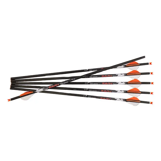 Ravin HD 500 Grain Arrows 6-Pack Straightness .001 - Ravin