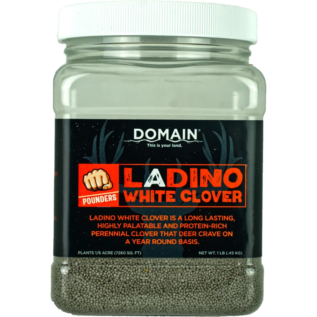 Domain DLWCS1LB Ladino White Clover Seed 1 lb, Perennial, Drought-Resistant - Domain
