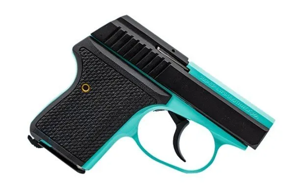 Seecamp LWS .32 ACP 2 In Robin's Egg Blue Stainless Steel 6+1