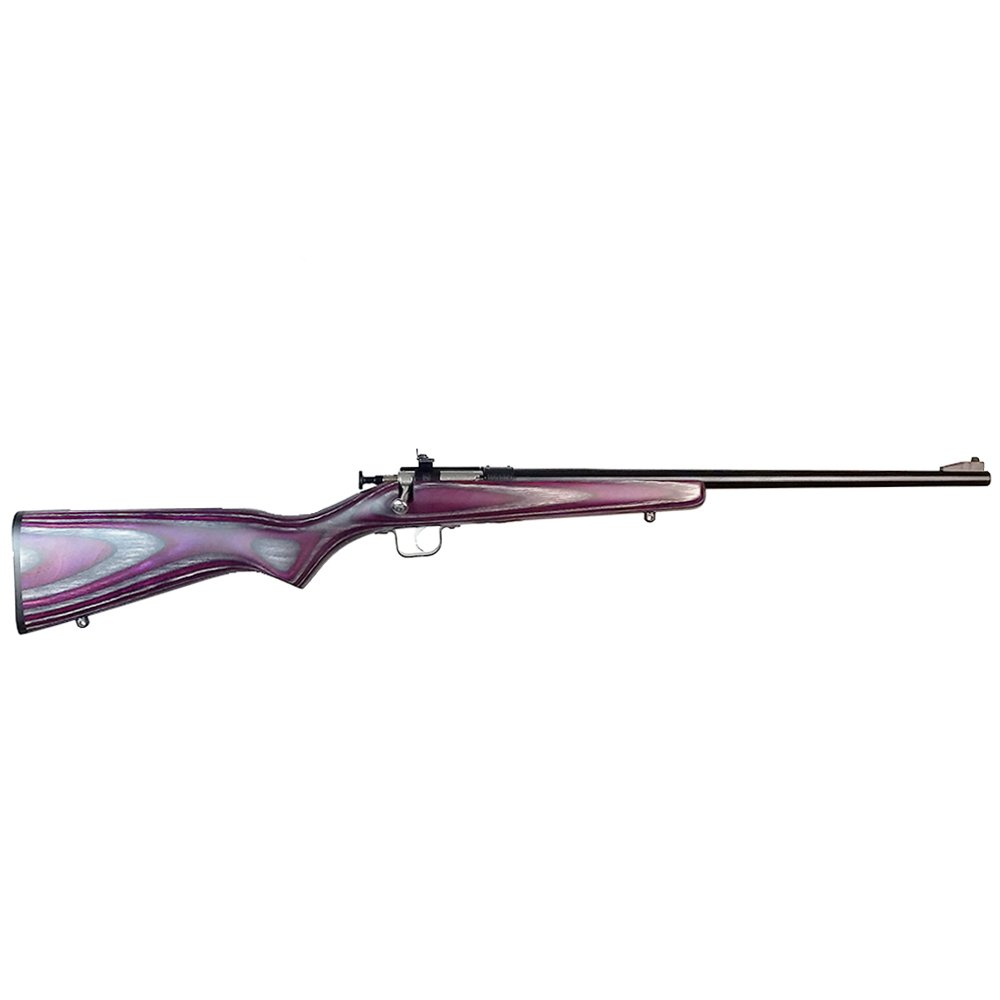 Buy Keystone Sporting Arms Crickett 22 LR KSA2227 online