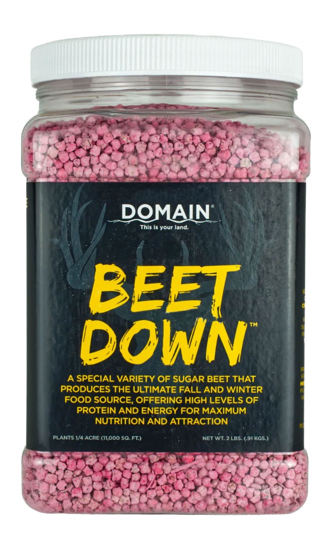 Domain Beet Down Seed BDFP2 2 lb Coated 1/4 Acre High-Yield - Domain