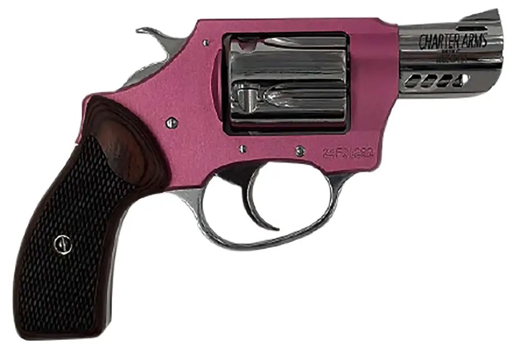 Charter Arms 53805 380 ACP - CHARTER ARMS - 380 ACP