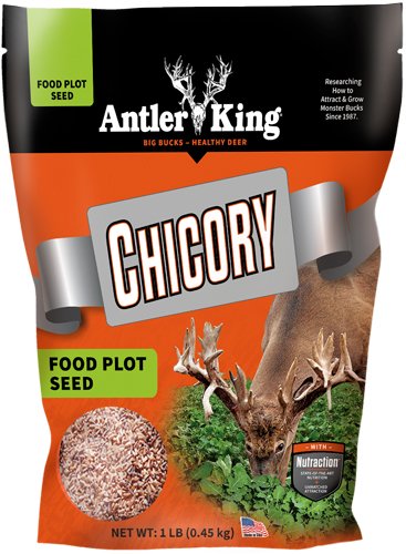 Antler King Chicory Seed 1/4 Acre - Antler King