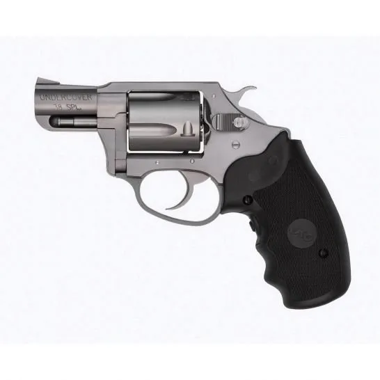 Charter Arms 73824 38SPL 2in Stainless Revolver - CHARTER_ARMS - .38 Special for sale at Dahlonega Armory