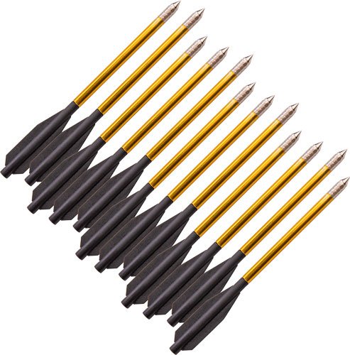 Buy Bear Archery AVXA12P Crossbow Bolts 12-Pack online