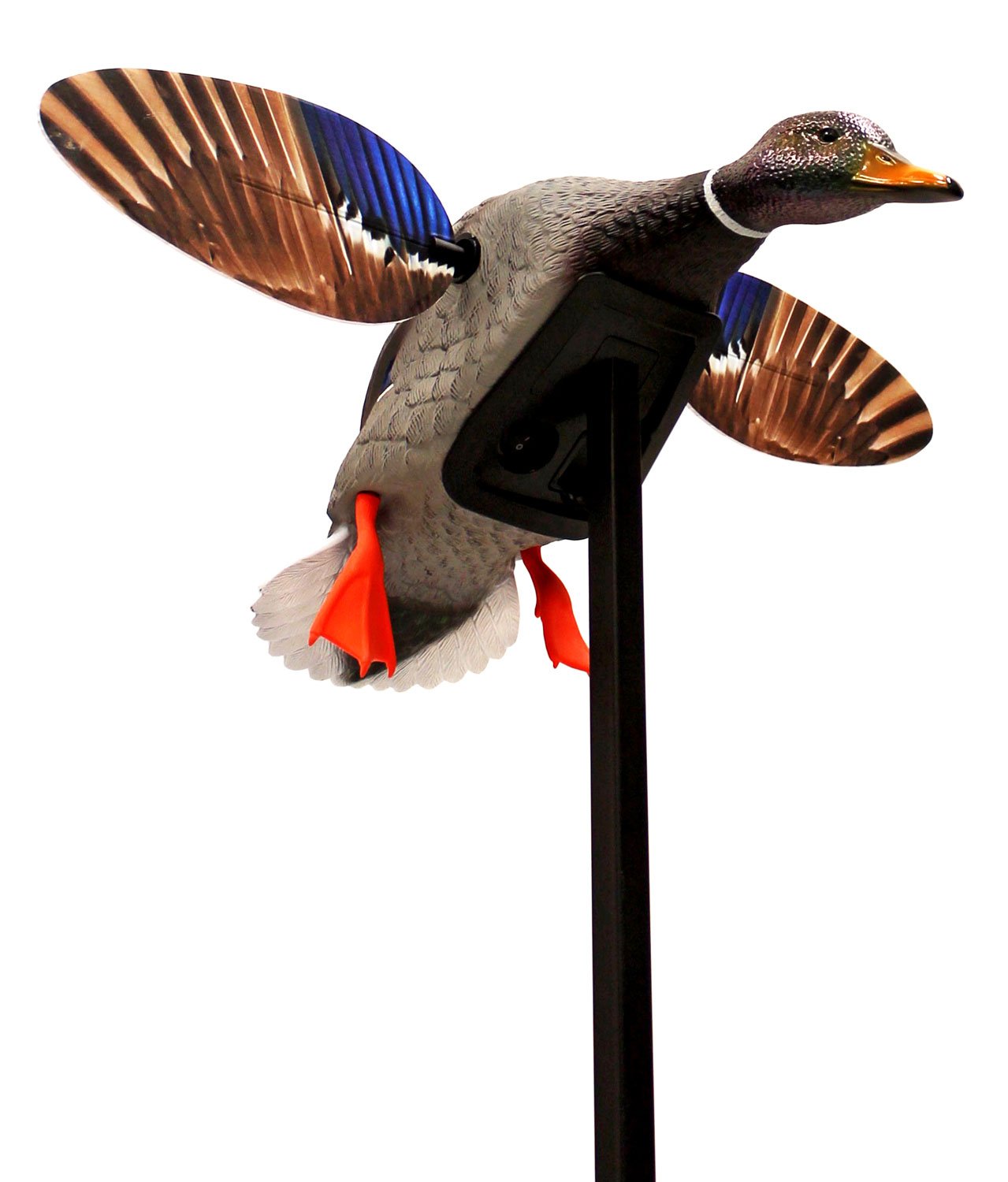 Mojo Outdoors HW24703P Elite Mini Mallard Drake Decoy Multi-Color Plastic - Mojo Outdoors