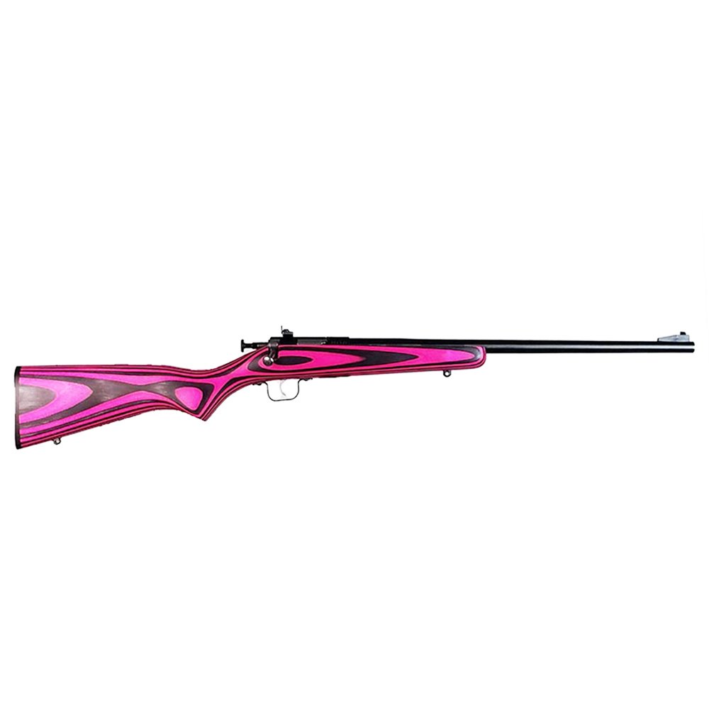 Buy Keystone Sporting Arms Crickett 22 LR KSA2225 online
