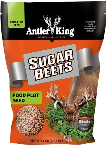 Antler King Sugar Beets Seed 1/8 Acre - Antler King