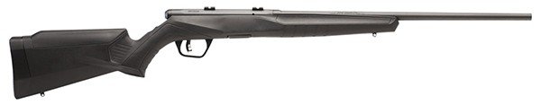 Buy Savage Arms B17 F 17 HMR online