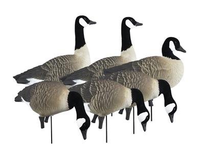 Higdon Outdoors 72237 APEX Full-Size Canada Goose Decoy Variety Pack - Higdon Outdoors