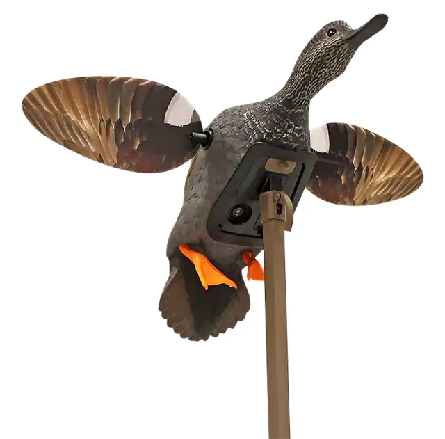 Mojo Outdoors HW24733P Elite Series Gadwall Multi-Color Decoy - Mojo Outdoors