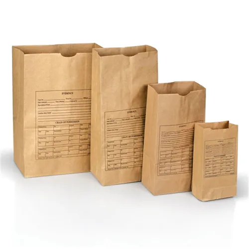 Lightning Powder Printed Paper Evidence Bags Style 12 For Documents