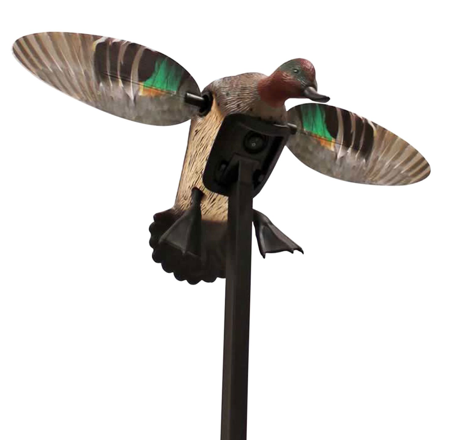 Mojo Outdoors HW24743P Elite Green Winged Teal Decoy, Realistic Design - Mojo Outdoors